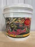 Lucky Buck 20# bucket