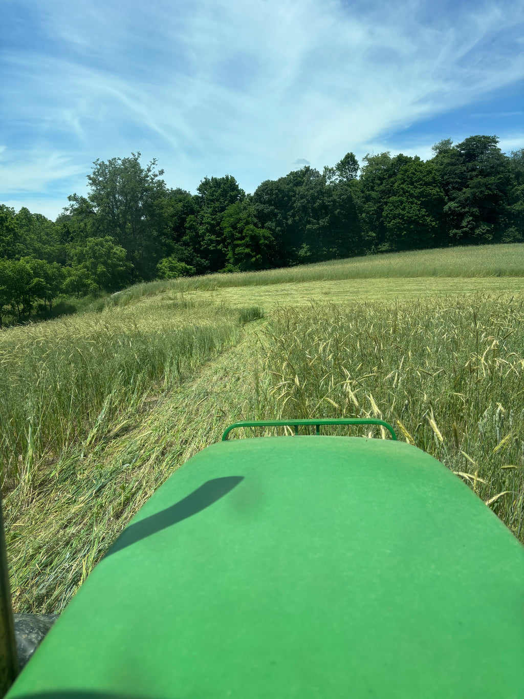 Custom Food Plot Planting Service